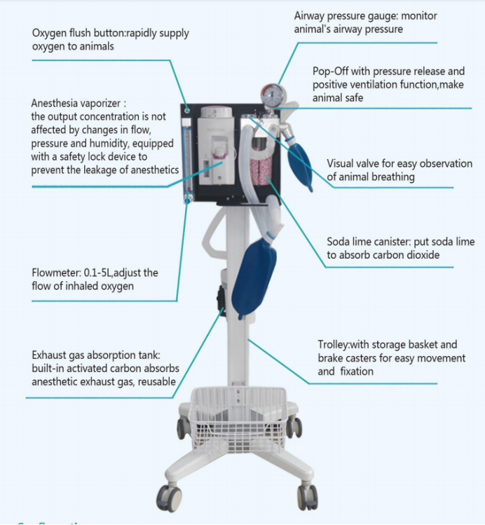 How does a veterinary anesthesia machine work?cid=30