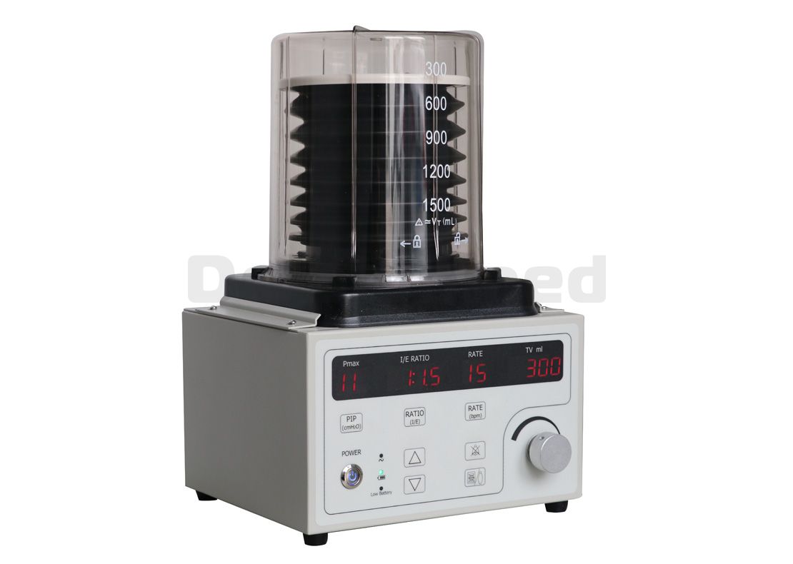 Anesthesia Ventilator(Model：DAV60)