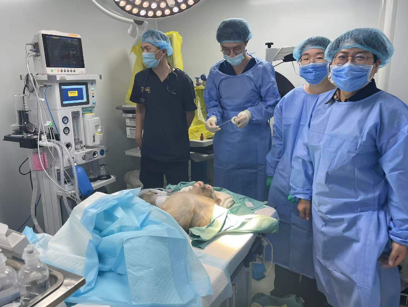 Dolphinmed assisted University of Science and Technology Beijing in completing the experimental work of intracranial pressure 