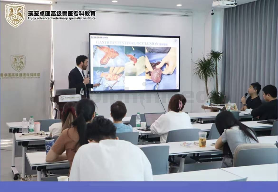 Dolphinmed's Exotic Animal Respiratory Anesthesia Machine Supports the Successful Conclusion of the International Advanced Diagnosis and Treatment Master Class!