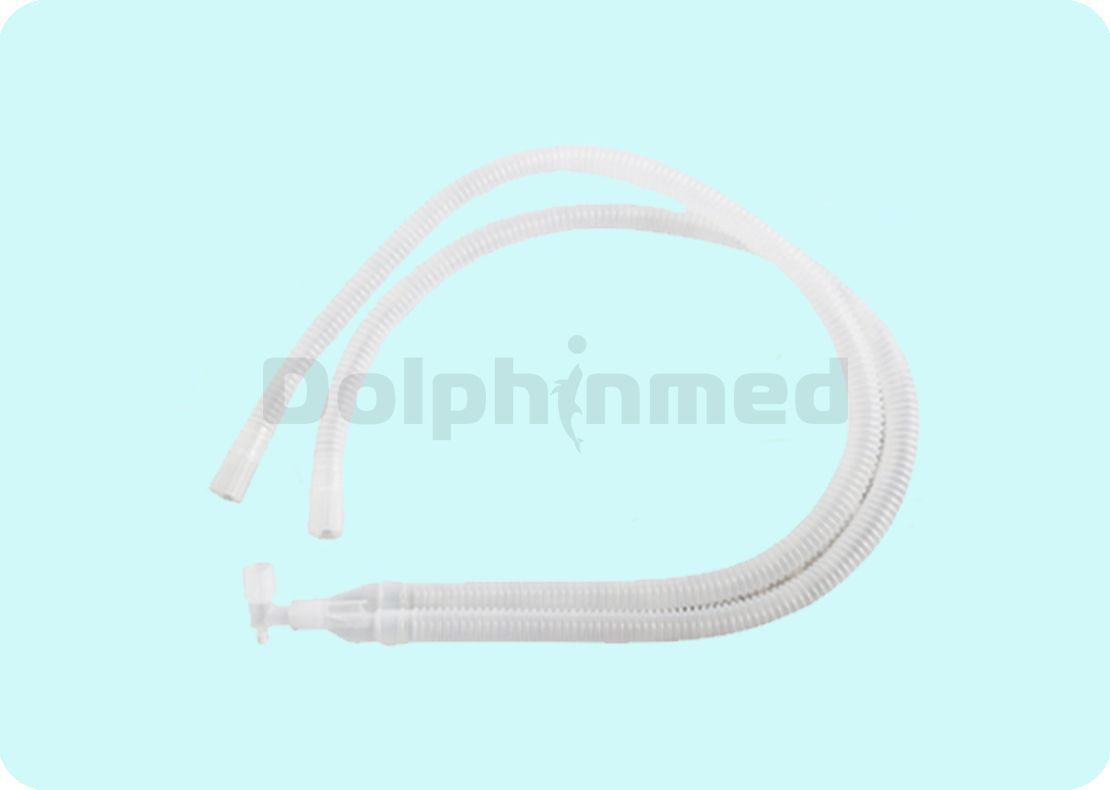 DP317 disposable circuit
