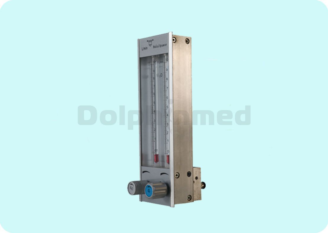 DP309 flowmeter