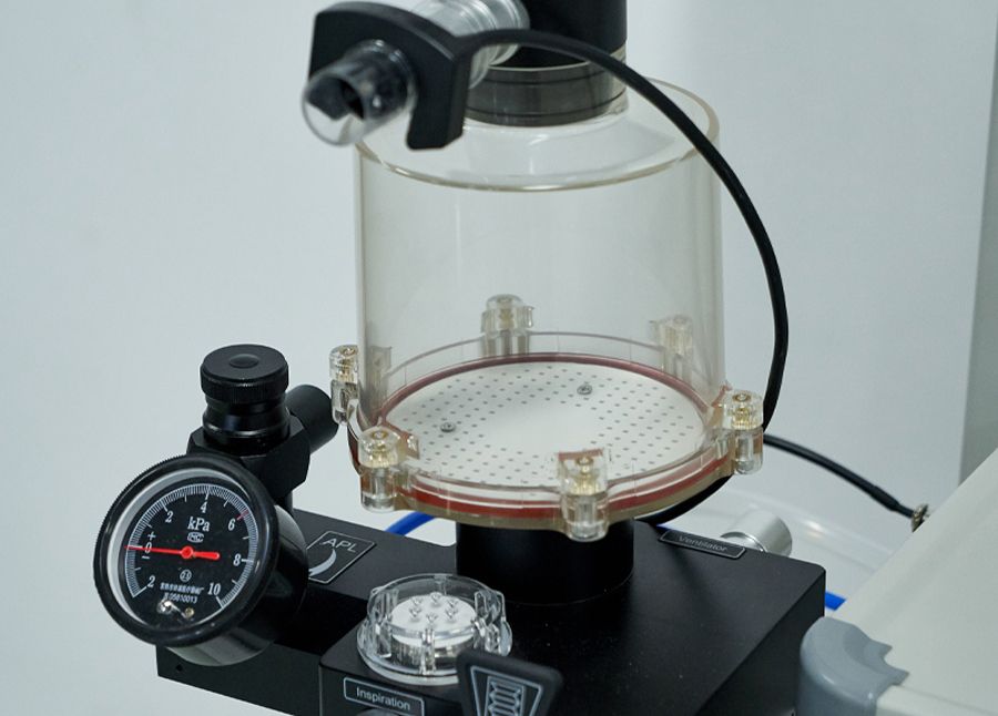 Anesthesia Machine (Model：DA1000)