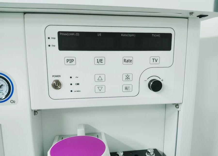 Anesthesia Ventilator(Model：DAV60)