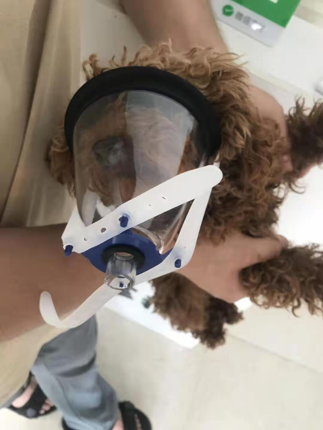 veterinary Anesthesia mask