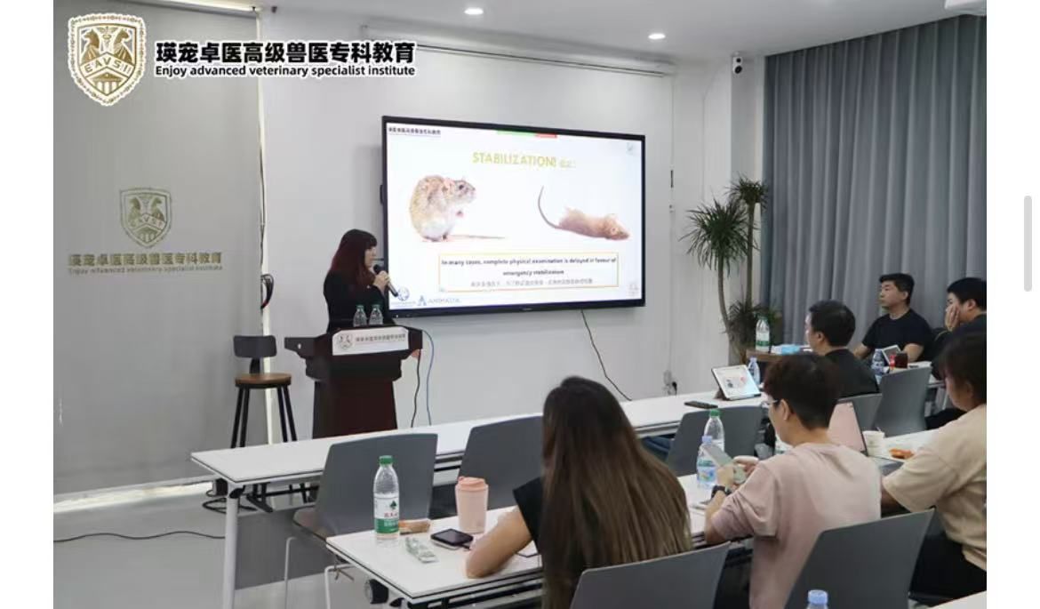 Dolphinmed's Exotic Animal Respiratory Anesthesia Machine Supports the Successful Conclusion of the International Advanced Diagnosis and Treatment Master Class!