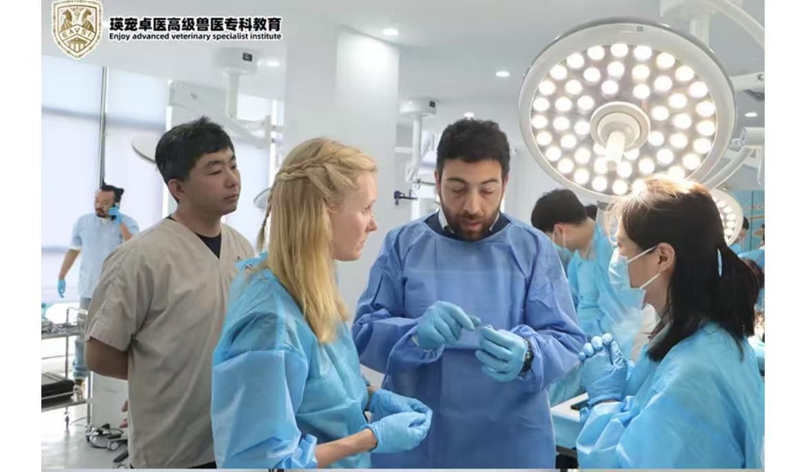 Dolphinmed's Exotic Animal Respiratory Anesthesia Machine Supports the Successful Conclusion of the International Advanced Diagnosis and Treatment Master Class!