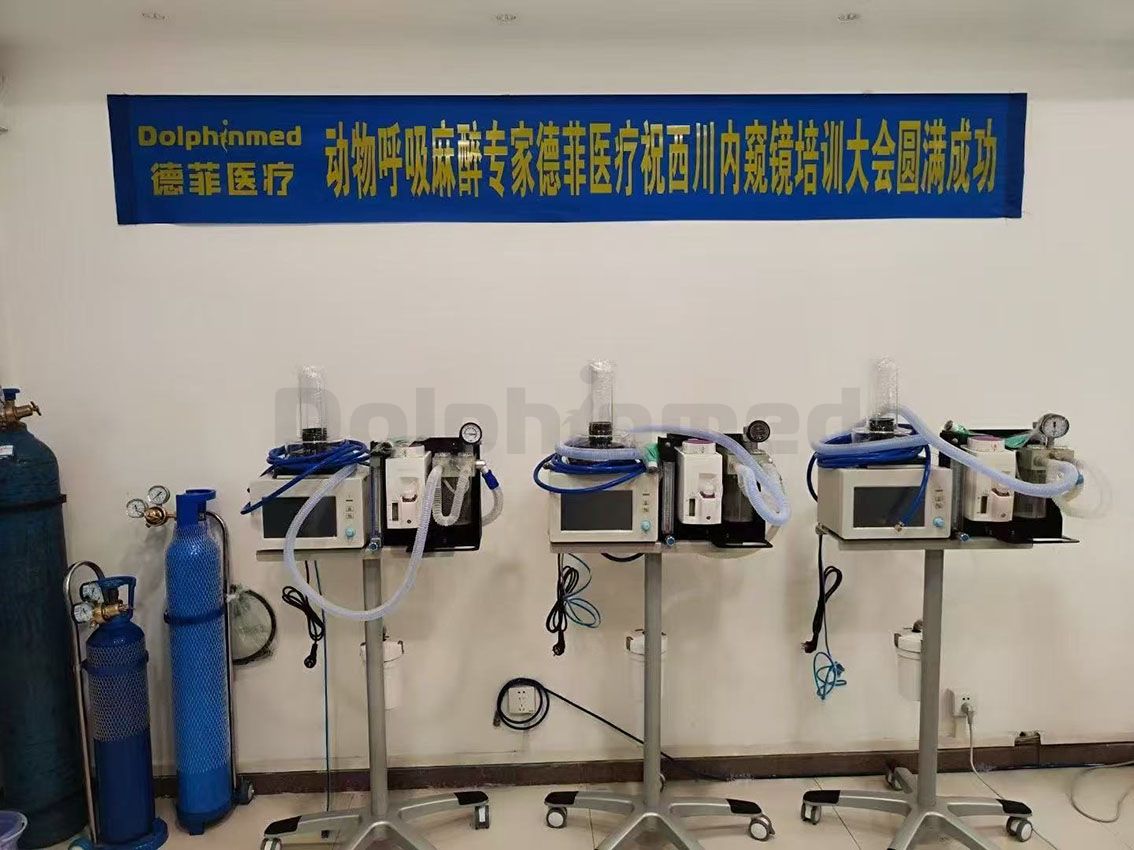 Dolphinmed Supports Xichuan Veterinary Training Camp, Jointly Advancing New Developments in Pet Minimally Invasive Diagnosis and Treatment!