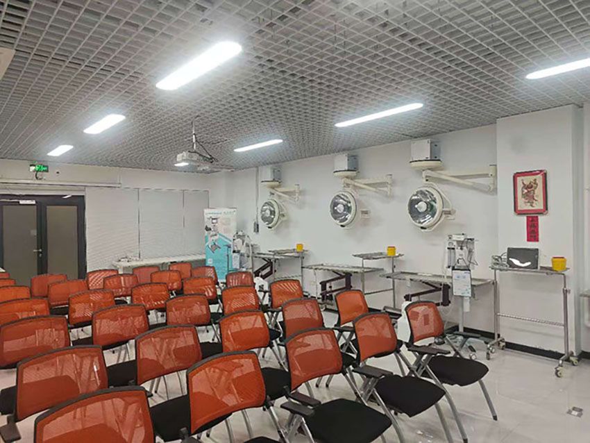 Precision Anesthesia, Breakthrough Care: Dolphinmed Empowers Exotic Animal Medical