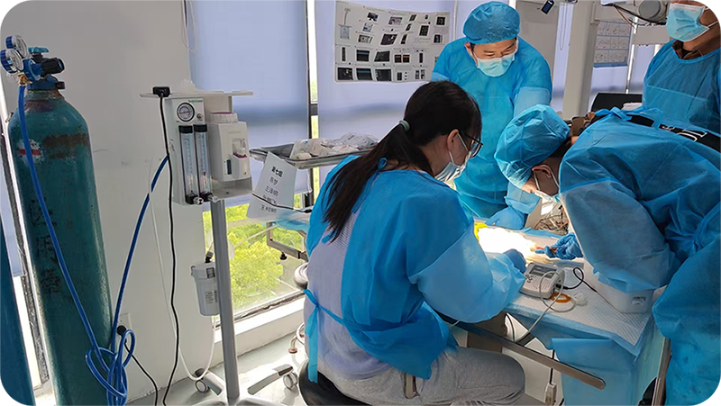 Dolphinmed supports the 2025 International Advanced Masterclass