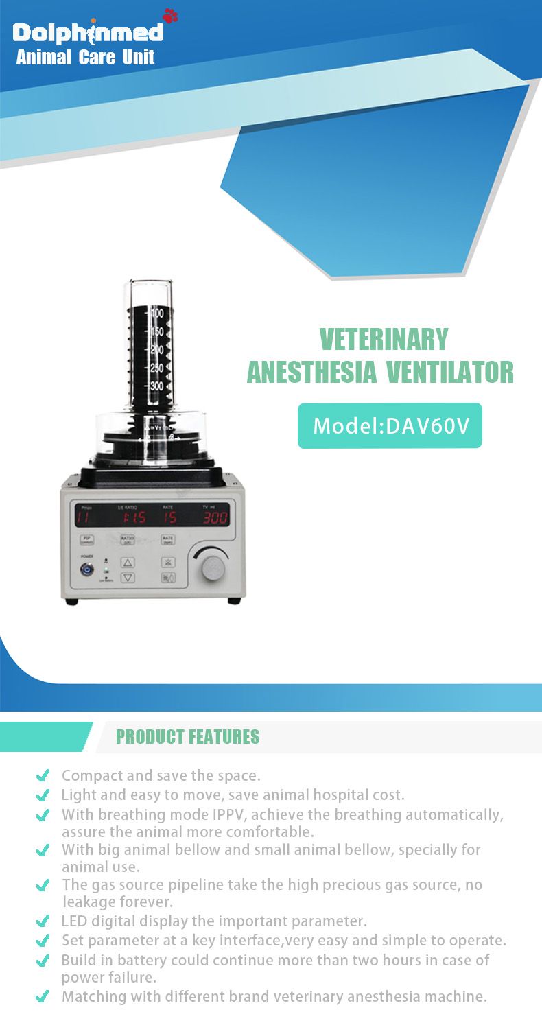 Anesthesia Ventilator(Model：DAV60)